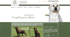 Desktop Screenshot of danikklabradors.com